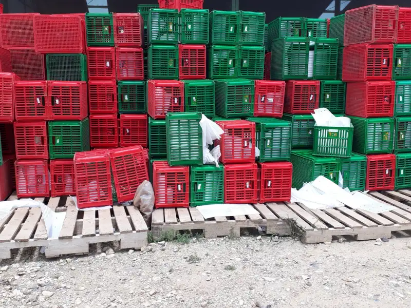 生物制品行业标准解读:御昇泰生物科技产品合规性优势