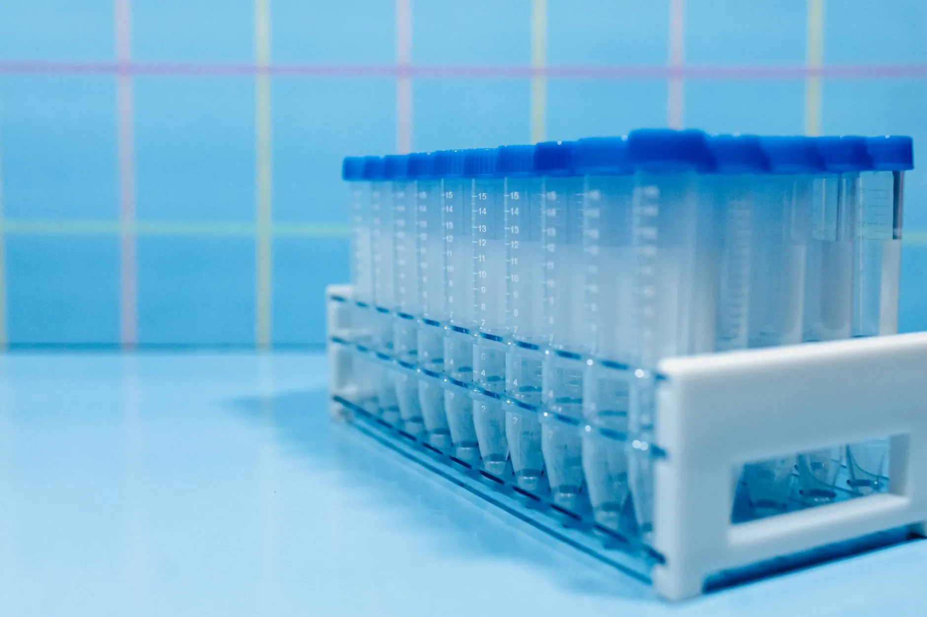 河南御昇泰生物科技功能性健康产品研发技术路径解析正文配图 1