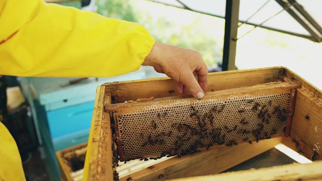 河南御昇泰生物科技功能性健康产品技术优势与工艺解析