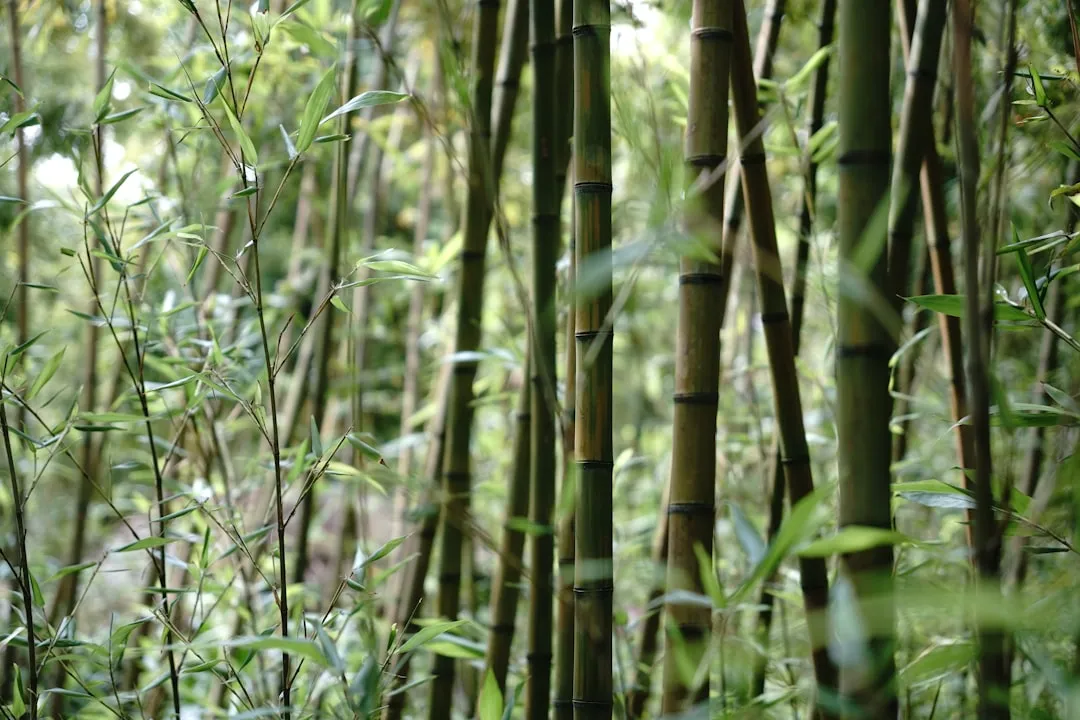 2025年生物制品生产工艺优化与质量管控新趋势